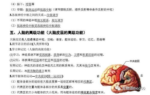 期末沖刺 高中生物必修三基礎知識點匯總，考前必看
